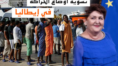 Photo of وزارة الزراعة الايطالية تدعو الحكومة لـ تسوية اوضاع المهاجرين في ايطاليا